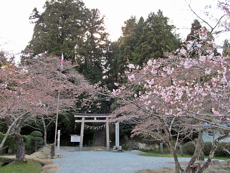 File:Kashima-amatarashiwake-jinja in spring.JPG