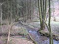 Liste Der Naturschutzgebiete Im Rheinisch-Bergischen Kreis: Wikimedia-Liste