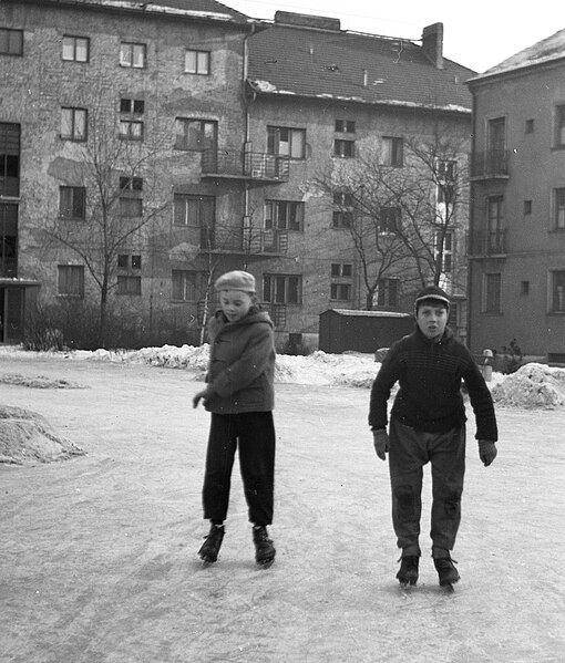 File:Korcsolyázó fiúk, 1964. Fortepan 29474.jpg