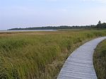 Thumbnail for Kouchibouguac National Park