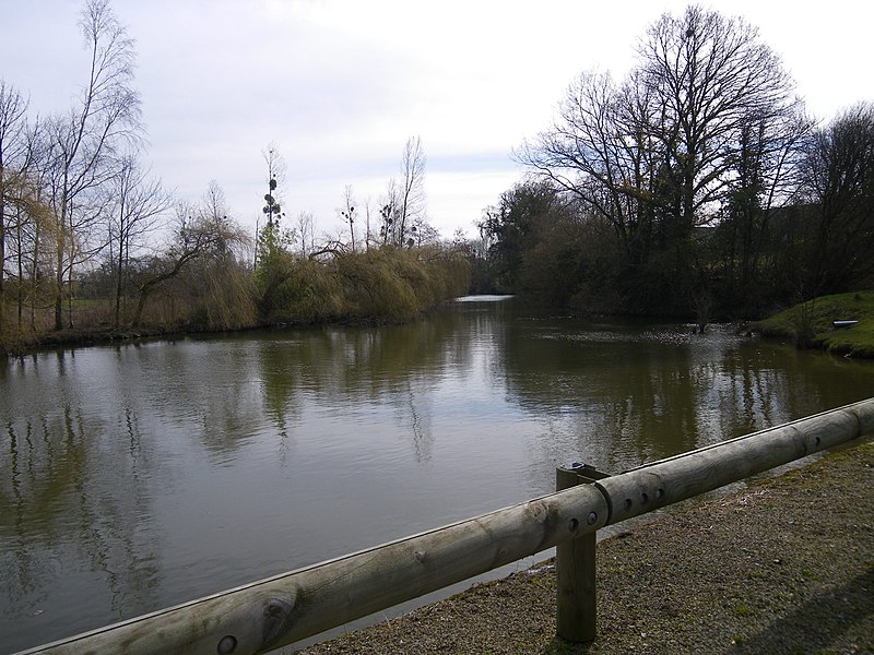 File:La riviere vilaine a brecé - panoramio.jpg