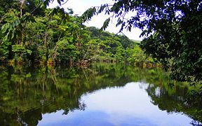 El Lago Jalapa en Sarapiquí es un destino para los amantes del ecoturismo
