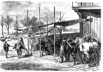 Pesage et marquage des chevaux de cavalerie destinés à la consommation - Dessin paru dans le Monde Illustré le 4 février 1871