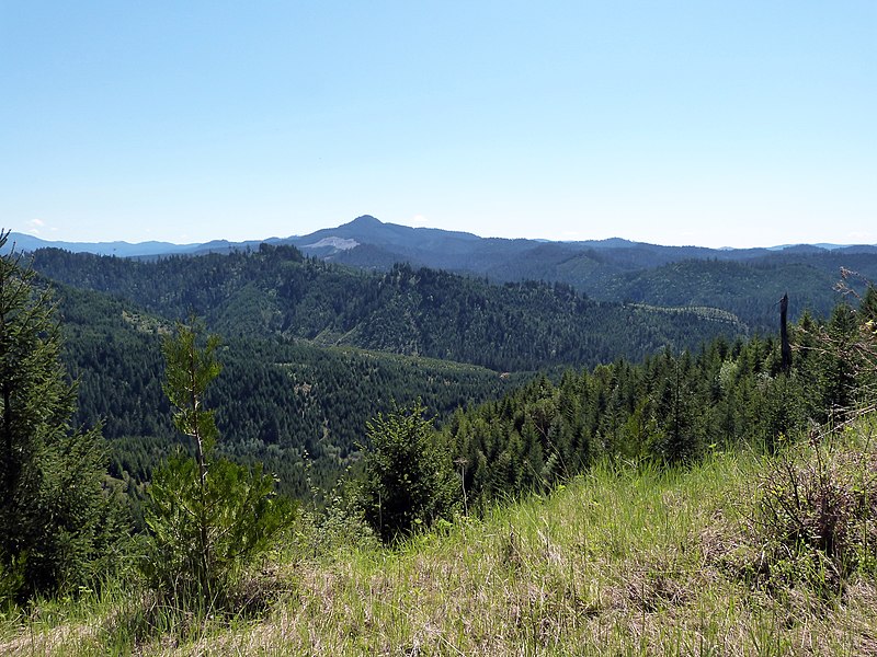 File:Landscape - China Ditch Oregon.jpg