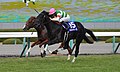 第67回優勝馬リオンディーズ