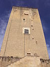 Leverano (LE) - Torre Federiciana.JPG