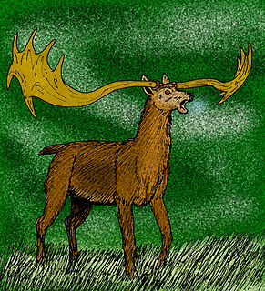 <i>Libralces</i> Extinct genus of deer