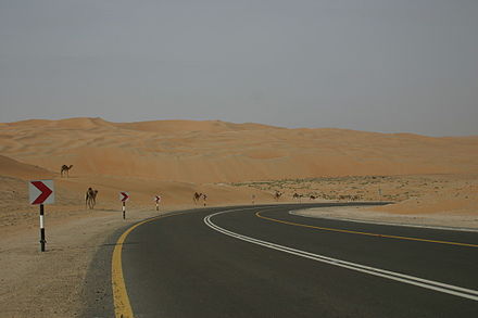 Camels stroll along a road in the desert near Liwa Oasis