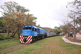 Argentiinan valtion omistaman Belgrano Cargas y Logístican tavarajuna maan maaseudun läpi.