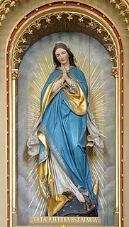 <span class="mw-page-title-main">May devotions to the Blessed Virgin Mary</span>