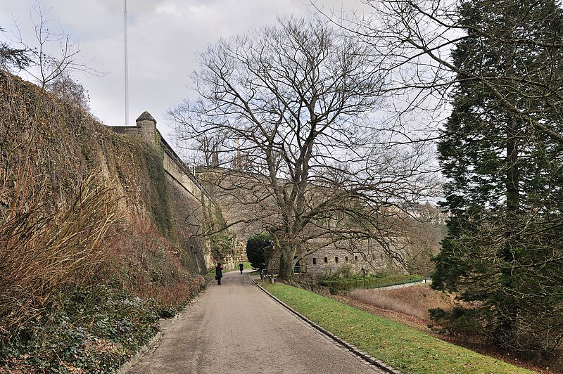 File:Luxembourg Petrusse fortress and remarkable beech 01.jpg