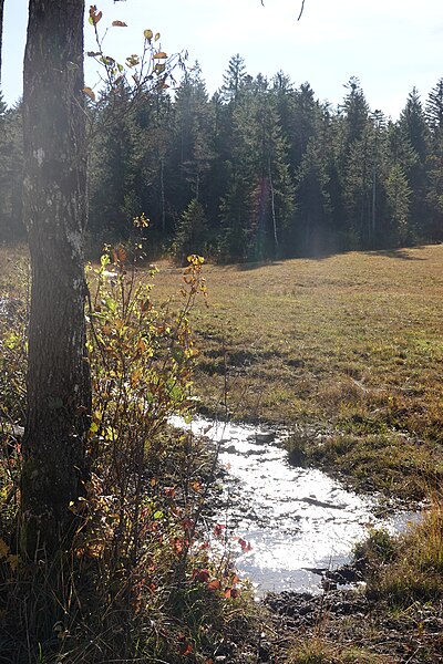 File:Mühlbach Lenggries.jpg