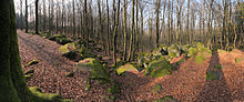 Deutsch: Die Basaltformationen des Naturdenkmals Hochstein in Höhn-Neuhochstein