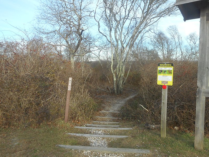 File:MPSP East Overlook; Oyster Pond Overlook Trail.jpg