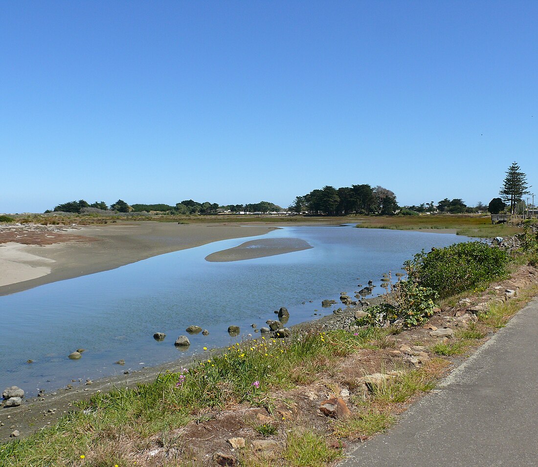 Manawatū Estuary