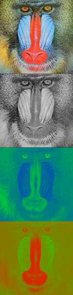 File:Mandrill-yuv.png