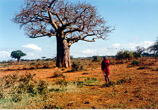 Massai-001.jpg