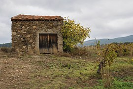 Mazet in vineyards. Cessenon-sur-Orb 03.jpg