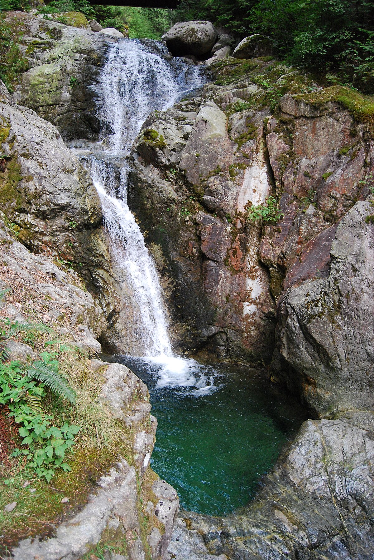 Davis Lake Provincial Park - Wikipedia