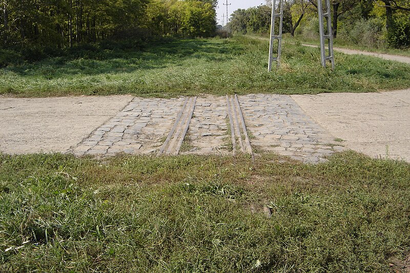 File:Mezőhegyesi Gazdasági Vasút egykori útátjárója a 39-es majornál.jpg