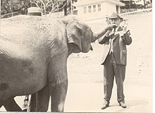 Milton Hershey with an elephant at ZooAmerica, 1920 Milton Hershey with Elephant.jpg