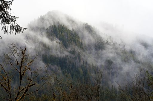 Mist on the Mountain (4551400548)