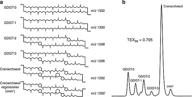 Molecular structures and HPLC detection of GDGTs. Retrieved from Tierney and Tingley (2015).