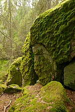 Vignette pour Parc national de Tiveden