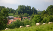 Vignette pour Sentier de grande randonnée 123