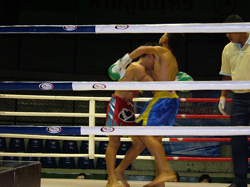 File:Muay Thai match at Rajadamnern Stadium 2007-05-20 16.JPG