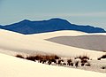 NM White Sands 1.jpg