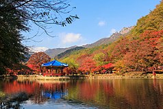 Baekyangsa Temple Pavilion 백양사