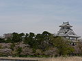 Miniatura para Castillo Nagahama