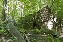 Naturdenkmal Nürtingen-Felsenblock (Ulrichstein) 81160493220.jpg