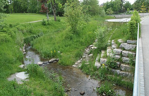 The outflow of the symbolic spring is a small contributor to the restored natural river.