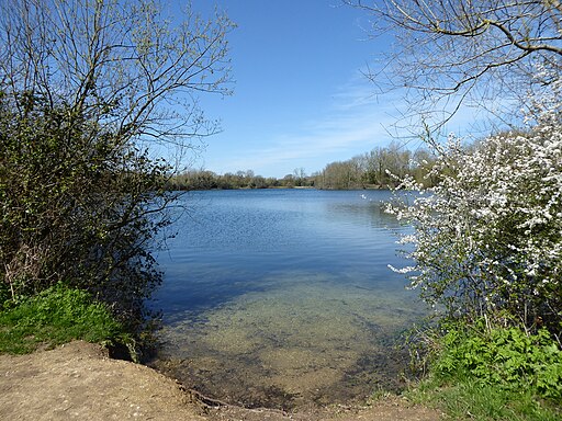 Neigh Bridge Lake, Neigh Bridge Country Park - geograph.org.uk - 4916962