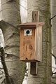 Nestbox with metal protection against woodpeckers