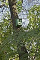 * Nomination: A nest box, Jardin du Luxembourg, Paris.--Jebulon 08:27, 27 October 2011 (UTC) * * Review needed