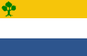 Vlag van de plaats Nieuwstadt