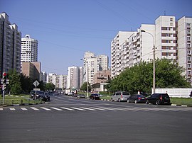 Вид на Новомарьинскую улицу в месте её пересечения с Луговым проездом
