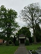 Odernheim ND-7133-432 Zwei Bergahornbäume auf dem Friedhof 001.jpg