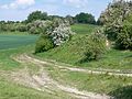 Weg von Süden zum Gipfel