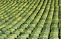 * Nomination Rows of seats in Olympiastadion Munich. --Martin Falbisoner 13:58, 13 April 2019 (UTC) * Promotion I assume there is a tilt CCW - the numbers on the most right seats should be vertical. Fixable without loosing to much picture? --PtrQs 15:18, 13 April 2019 (UTC) Fixed --Martin Falbisoner 16:04, 13 April 2019 (UTC) Good Quality - thank you for the quick response. --PtrQs 22:49, 13 April 2019 (UTC)  Support Good quality. --Chenspec 09:35, 15 April 2019 (UTC)