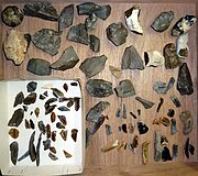 Examples of stone tools
including Mesolithic microliths OpgravingStevoort.jpg