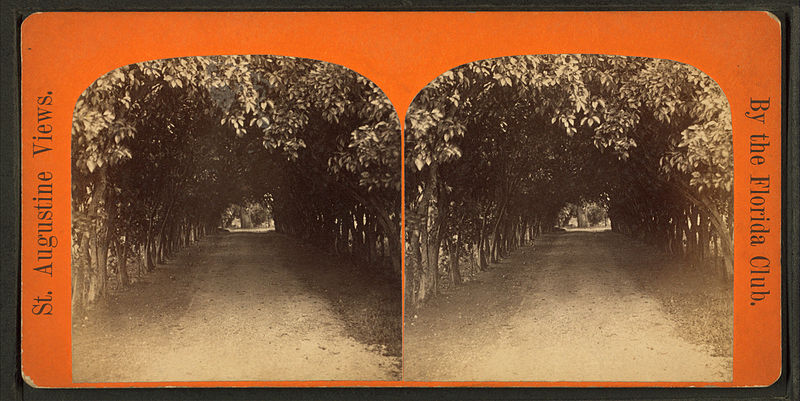 File:Orange archway on Mr. Ball's place, known as Lover's Lane, from Robert N. Dennis collection of stereoscopic views 2.jpg