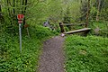 * Nomination Hiking trail along the stream Bleicherbach near Ottensheim / Upper Austria --Isiwal 07:17, 30 August 2022 (UTC) * Promotion  Support Good quality. --Uoaei1 09:20, 30 August 2022 (UTC)