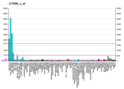 PBB GE AIF1 213095 x در fs.png