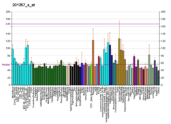 PBB GE SF3A1 201357 s ב fs.png