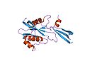 Vignette pour Hydrolase nudix