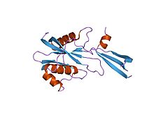 PDB 1mp2 EBI.jpg